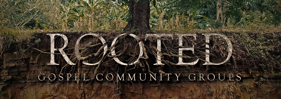 Gospel Communities